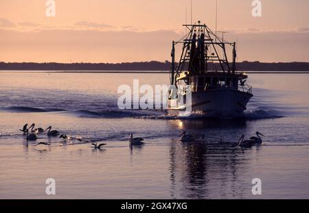 FISHING TRAWLER KOMMEN AM SPÄTEN NACHMITTAG AN LAND, BALLINA, NEW SOUTH WALES, AUSTRALIEN. Stockfoto