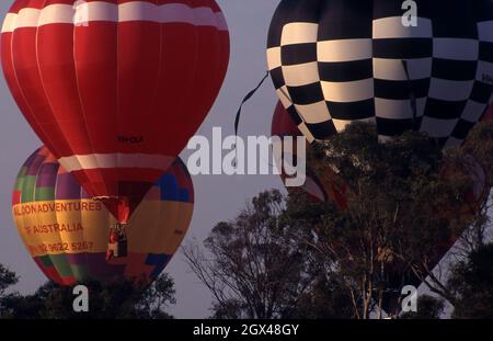 Heißluftballone, die am Canberra Hot Air Balloon Spectacular teilnehmen, früher bekannt als Canberra Balloon Festival, Canberra, ACT. Stockfoto