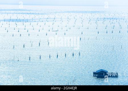 Luftaufnahme, viele traditionelle Fischfalle, hölzerne schwimmende Haus und Fischer auf Fischerboot im Songkhla See. Landwirtschaft, Landwirtschaft. Stockfoto