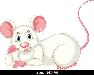 Weiße Ratte auf weißem Hintergrund Stock Vektor