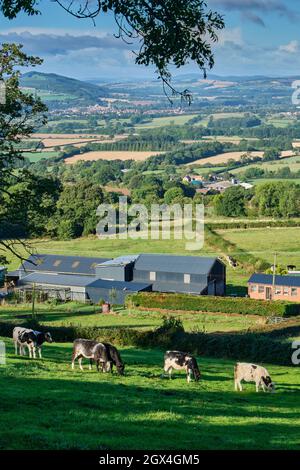 Ludlow und Mortimer Forest und die walisischen Grenzen, von der Nähe von Knowbury, Ludlow, Shropshire aus gesehen Stockfoto