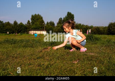 Ein lächelndes Mädchen füttert eine Karotte aus der Hand eines Gophers auf einer Wiese, auf der im Sommer Menschen im grünen Gras ruhen. Stockfoto