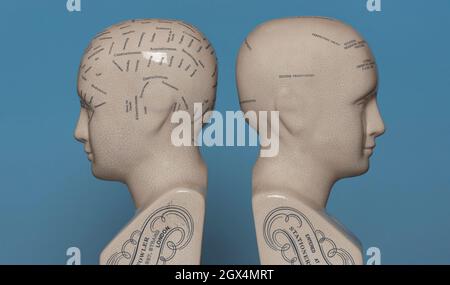 Zwei Phroenologie-Köpfe, Konzept der psychischen Gesundheit. Stockfoto