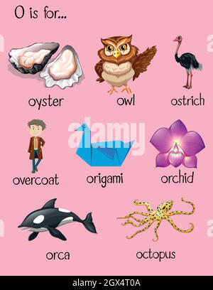 Viele Worte für den Buchstaben O Stock Vektor