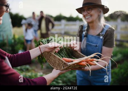 Glückliche ältere Bäuerin, die auf dem Gemeinschaftshof einer nicht erkennbaren Frau einen Korb mit hausgemachten Gemüse gibt. Stockfoto