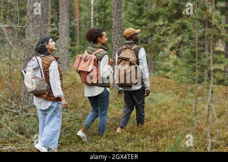 Drei junge Menschen, die in Folge im Wald spazieren, während sie den Wanderweg erkunden und Rucksäcke tragen, um Platz zu kopieren Stockfoto