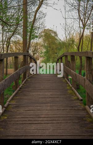 Holzbrücke über einem kleinen Teich auf der romantischen Insel in der region pomurje in Slowenien an einem Sommerabend. Stockfoto