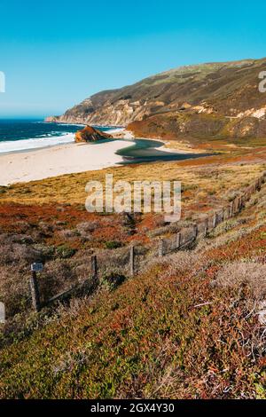 Am privat geführten Little Sur River Beach, Kalifornien, fließt zwischen pflanzenbewachsenen Sanddünen eine Mündung in den Pazifischen Ozean Stockfoto