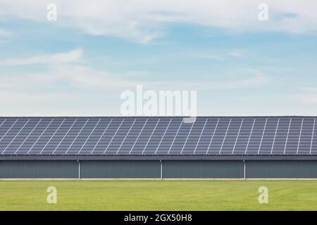 Große Reihen von Solarzellen auf einer neuen Farmscheune in den Niederlanden Stockfoto