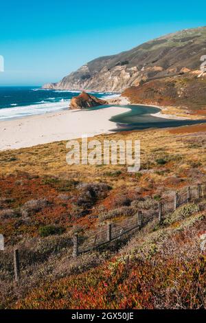 Am privat geführten Little Sur River Beach, Kalifornien, fließt zwischen pflanzenbewachsenen Sanddünen eine Mündung in den Pazifischen Ozean Stockfoto