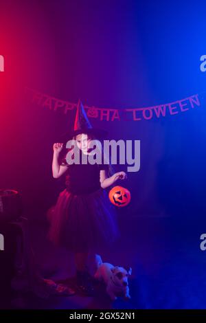 Lustige Mädchen im Hexenkostüm für Halloween mit Kürbis Jack und Hund. Stockfoto
