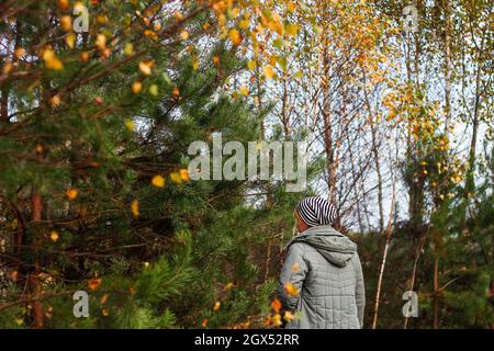 Unschärfe-Rückansicht einer jungen Frau in gestreiftem Hut und grauer Jacke, die im gelben und grünen Herbstwald spazieren geht. Natürlicher Fall Hintergrund.Wellness und Harmon Stockfoto