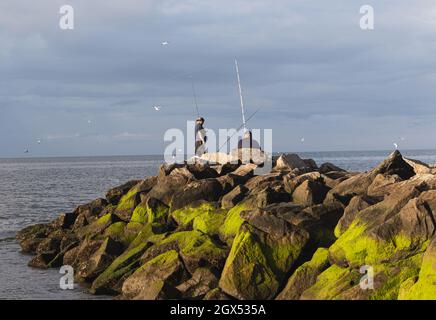 Zwei Männer fischen auf den Felsen im versunkenen Medow State Park mit Möwen, die um sie herum fliegen, und grünem Moos auf den großen Felsen. Stockfoto