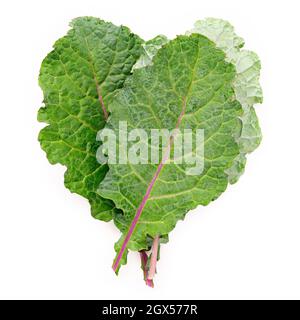 Flach lagen frische Grünkohl Blätter in Herzform isoliert auf weißem Hintergrund. Draufsicht Liebe gesunde Bio-Lebensmittel. Stockfoto