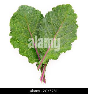 Flach lagen frische Grünkohl Blätter in Herzform isoliert auf weißem Hintergrund. Draufsicht Liebe gesunde Bio-Lebensmittel. Stockfoto