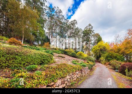 Fußweg durch den farbenfrohen Herbstpark in Mount Lofty, Adelaide Hills, Südaustralien Stockfoto