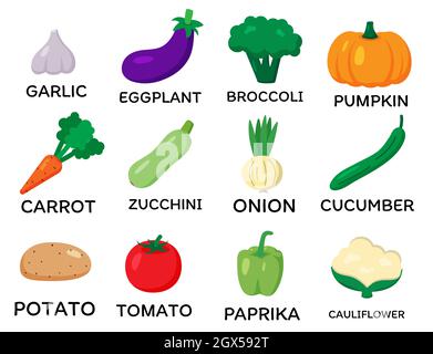 Set von Vektorgemüse. Flacher Cartoon-Stil. Knoblauch, Auberginen, Brokkoli, Kürbis, Karotten, Zucchini, Zwiebeln, Gurken, Kartoffeln, Tomaten, Paprika Stock Vektor