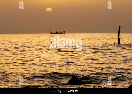 Juni 2021, San Vito Chietino, Abruzzen, Italien. Trabocchi Küste. Fischerboote kehren im Morgengrauen zum Hafen zurück. Stockfoto