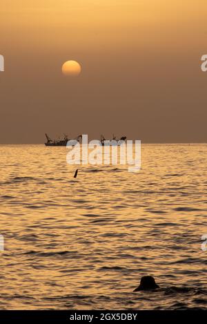 Juni 2021, San Vito Chietino, Abruzzen, Italien. Trabocchi Küste. Fischerboote kehren im Morgengrauen zum Hafen zurück. Stockfoto