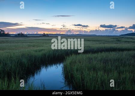 Sonnenaufgang über dem Salzwassermarsch entlang des Tolomato River in St. Augustine, Florida. Stockfoto