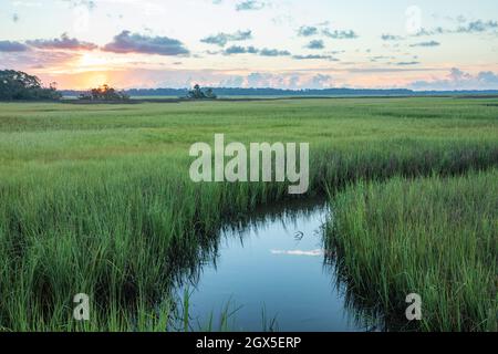 Sonnenaufgang über dem Salzwassermarsch entlang des Tolomato River in St. Augustine, Florida. Stockfoto