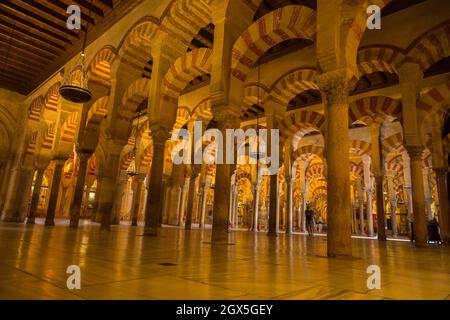 CORDOBA, SPANIEN - 11. August 2021 - Bögen im Gebetsraum der Mezquita (Moschee), Cordoba, Spanien Stockfoto