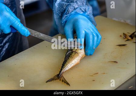 Ein Arbeiter schneidet geräucherte Makrelen mit einem Messer in Stücke. Stockfoto