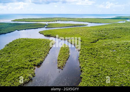 Key Largo Florida, Garden Cove North Sound Creek, Rattlesnake Key John Pennekamp Coral Reef State Park, Mangrovenbäume, Luftaufnahme von oben Stockfoto