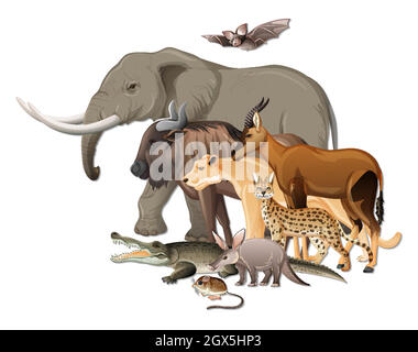 Gruppe von wilden afrikanischen Tieren auf weißem Hintergrund Stock Vektor
