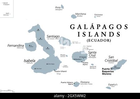 Galapagos-Inseln, Ecuador, graue politische Landkarte, Hauptstadt Puerto Baquerizo Moreno. Archipel vulkanischer Inseln auf beiden Seiten des Äquators im Pazifik. Stockfoto