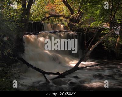 Shohola Falls im Osten, Pennsylvania gesehen Kaskadierung durch Felsen und Wald. Stockfoto