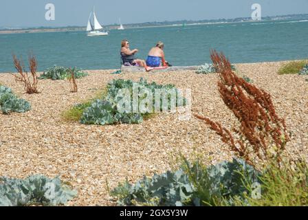 Zwei Frauen saßen am Strand, Calshot Beach, Calshot, Hampshire, Großbritannien. Stockfoto