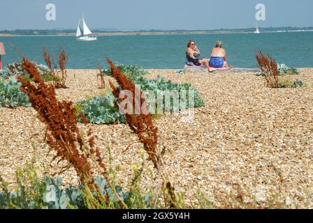 Zwei Frauen saßen am Strand, Calshot Beach, Calshot, Hampshire, Großbritannien. Stockfoto