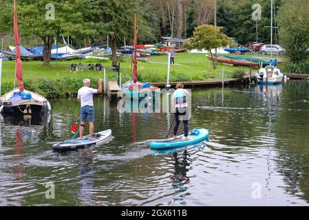 Zwei Paddelboarder, ein Mann, eine Frau, die auf der Themse in Shepperton Surrey, England, paddeln Stockfoto