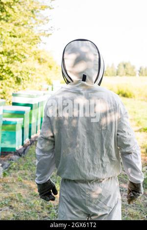 Rückansicht des Bienenmeisters in Schutzanzug in der Nähe von Bienenstöcken auf der Imkerei Stockfoto