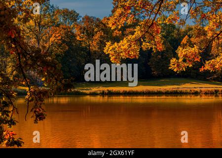 Schlossgarten Nymphenburg : Goldene Stunde Stockfoto