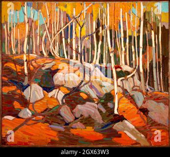 Tom Thomson - The Birch Grove - Herbst/Winter - 1915 Stockfoto