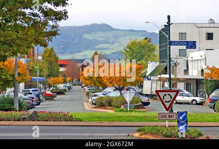 Bäume, die sich am 22. April 2005 im Rotorua Central Business District in Rotorua, Neuseeland, färben. Stockfoto