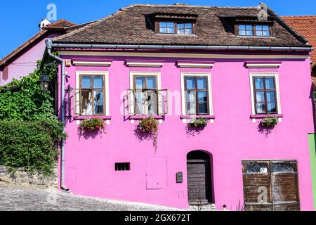 Altes farbenfroh bemaltes Haus im historischen Zentrum der Zitadelle von Sighisoara, in Siebenbürgen (Transsilvania) in Rumänien, an einem sonnigen Sommertag Stockfoto