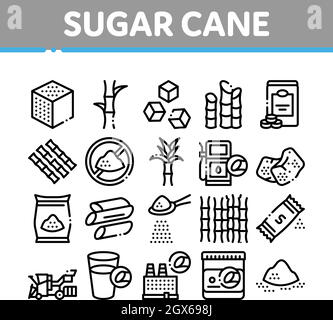 Sugar Cane Landwirtschaft Sammlung Icons Set Vektor Stock Vektor