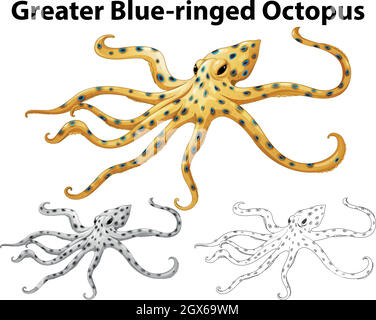 Doodle Tier für größere blau-beringte Oktopus Stock Vektor