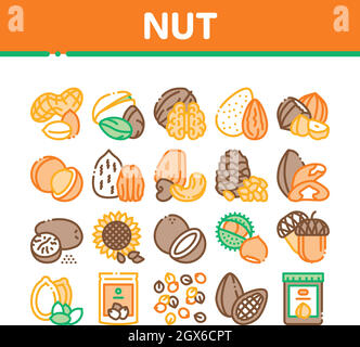 Nut Food Verschiedene Sammlung Icons Set Vektor Stock Vektor