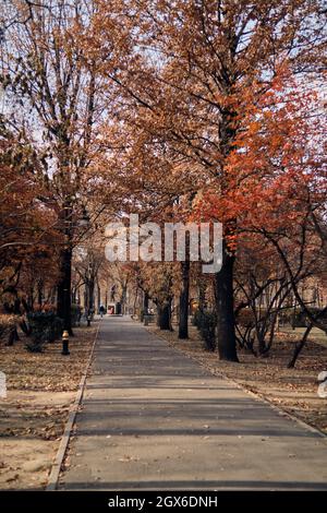 Gehweg in einem Park, Almaty, Kasachstan Stockfoto