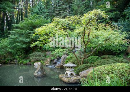 Japanischer Garten mit Wasser in albuquerque New mexico Stockfoto