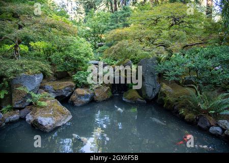 Japanischer Garten mit Wasser in albuquerque New mexico Stockfoto