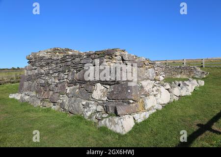 St Non's Chapel, National Park Coast Path near Caerfai, St Davids, Pembrokeshire, Wales, Vereinigtes Königreich, Großbritannien, Europa Stockfoto