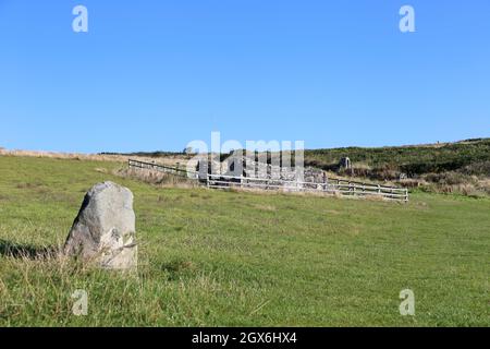 St Non's Chapel, National Park Coast Path near Caerfai, St Davids, Pembrokeshire, Wales, Vereinigtes Königreich, Großbritannien, Europa Stockfoto