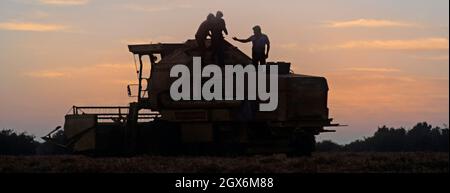 Silhouette1984 Archivansicht eines Bauern zusammengebrochen Mähdrescher Stecken in Ackerland Weizenfeld 1980er Erntezeit mit Landwirt Und Männer arbeiten spät an der Maschine, um die Ernte wieder aufzunehmen Am frühen Abend Abenddämmerung Sonnenuntergang Himmel in der 80er Jahre Archivfarmen Bild Essex Countryside England Großbritannien Stockfoto