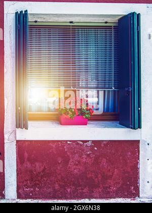 Blumen auf schönen schönen Fenstern mit Fensterläden, Italien Stockfoto
