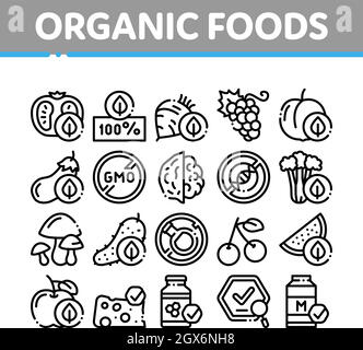 Bio Eco Lebensmittel Sammlung Icons Set Vector Stock Vektor